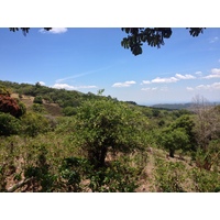 Photo Panama Boquete 2015-03 57
