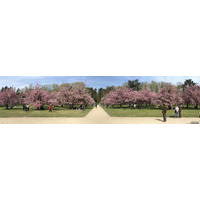 Photo France Parc de Sceaux 2019-04 52