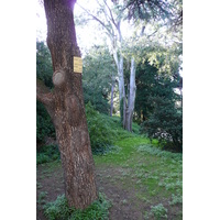Photo France Paris Jardin des Plantes 2007-08 70