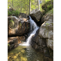 Photo France Corse Forêt d'Aïtone 2021-06 1