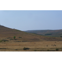 Photo Afrique du Sud route de Nelspruit à Johannesburg 2008-09 103