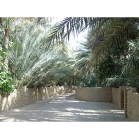Photo Émirats arabes unis Al Ain Oasis 2005-03 24