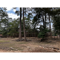 Photo Cambodge Siem Reap Ta Keo 2023-01 17