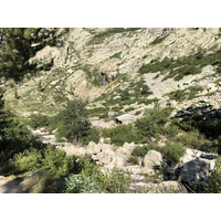 Photo France Corse La Restonica 2020-07 110