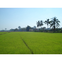 Photo Thaïlande Phitsanulok 2008-01 4