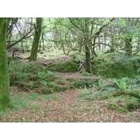 Photo Irlande Kerry Parc National de Killarney Muckross Lake 2004-05 12