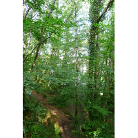 Photo France Huelgoat 2007-08 55