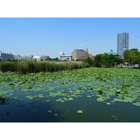 Photo Japon Tokyo Ueno 2010-06 62