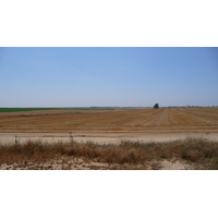 Photo Israel Route de Ashkelon à Arad 2007-06 20