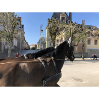 Photo France Fontainebleau 2019-04 249