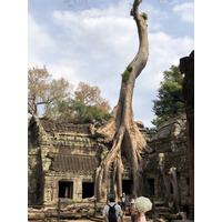 Photo Cambodge Siem Reap Ta Prohm 2023-01 111