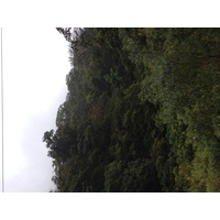 Photo Panama David à Bocas del toro 2015-03 99