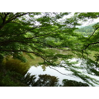Photo Japon Kyoto temple Ryoanji 2010-06 39