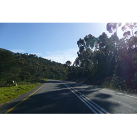 Photo Afrique du Sud Route de Harmanus à Knysna 2008-09 149