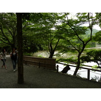 Photo Japon Kyoto temple Ryoanji 2010-06 58