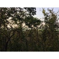 Photo Thaïlande Parc Si satchanalai 2014-12 131