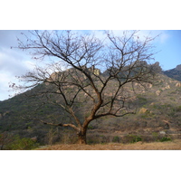 Photo Afrique du Sud route de Nelspruit à Malelane 2008-09 2