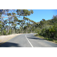 Photo Afrique du Sud Route de Harmanus à Knysna 2008-09 35