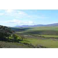 Photo Afrique du Sud Route de Harmanus à Knysna 2008-09 150