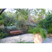 Photo France Nice Parc Phoenix 2007-10 88