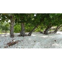 Photo Seychelles Grande Soeur 2011-10 53