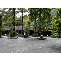 Photo Singapour Jardins botaniques de Singapore 2023-01 119