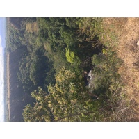 Photo Panama Boquete 2015-03 142