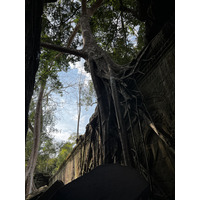 Photo Cambodge Siem Reap Ta Prohm 2023-01 4
