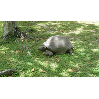Photo Seychelles Grande Soeur 2011-10 99