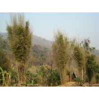Photo Thaïlande Route de Chiang Mai à Pai 2007-02 13