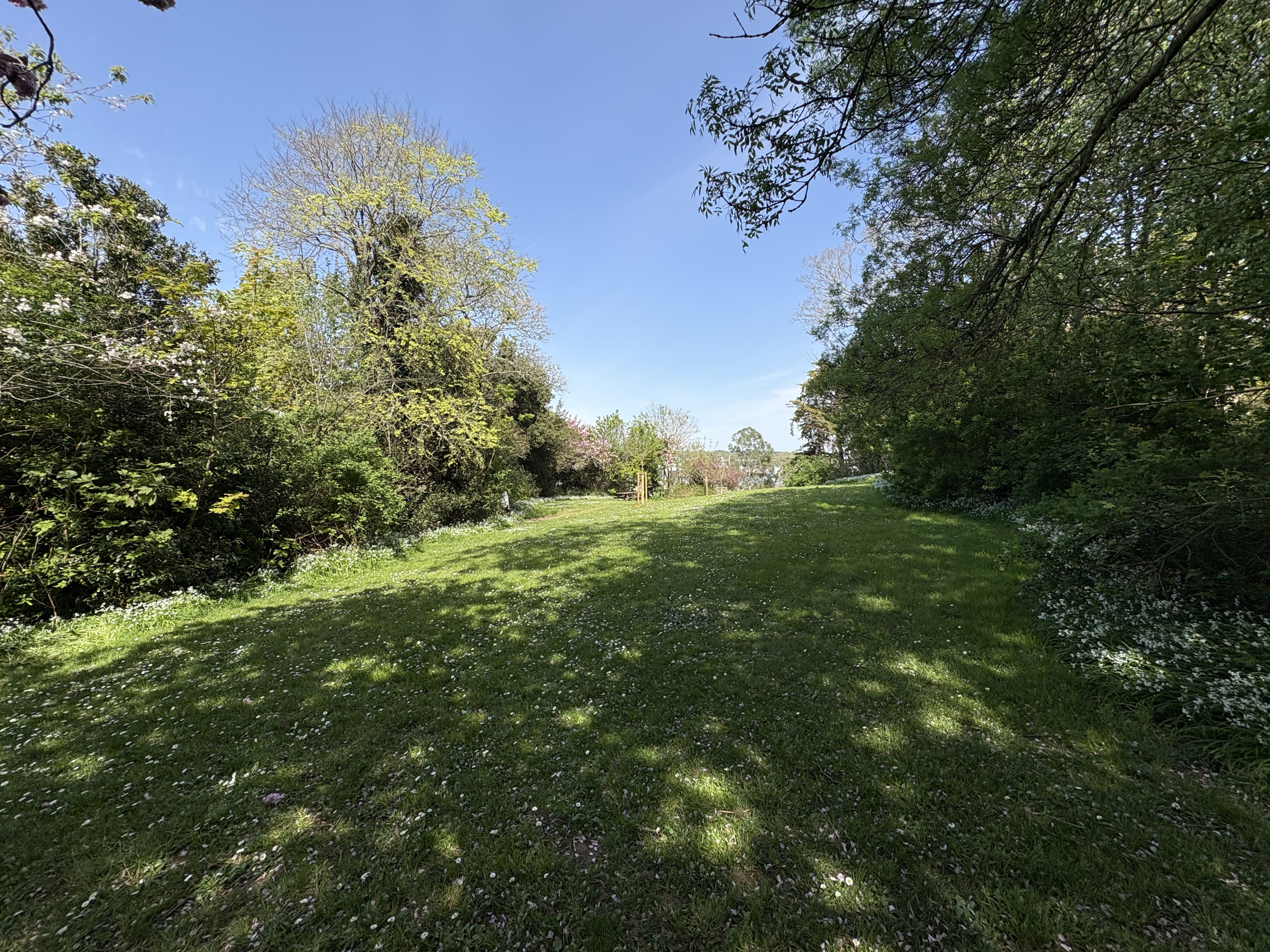 Picture France Concarneau Ville close 2026-04 40 - Recreation Ville close