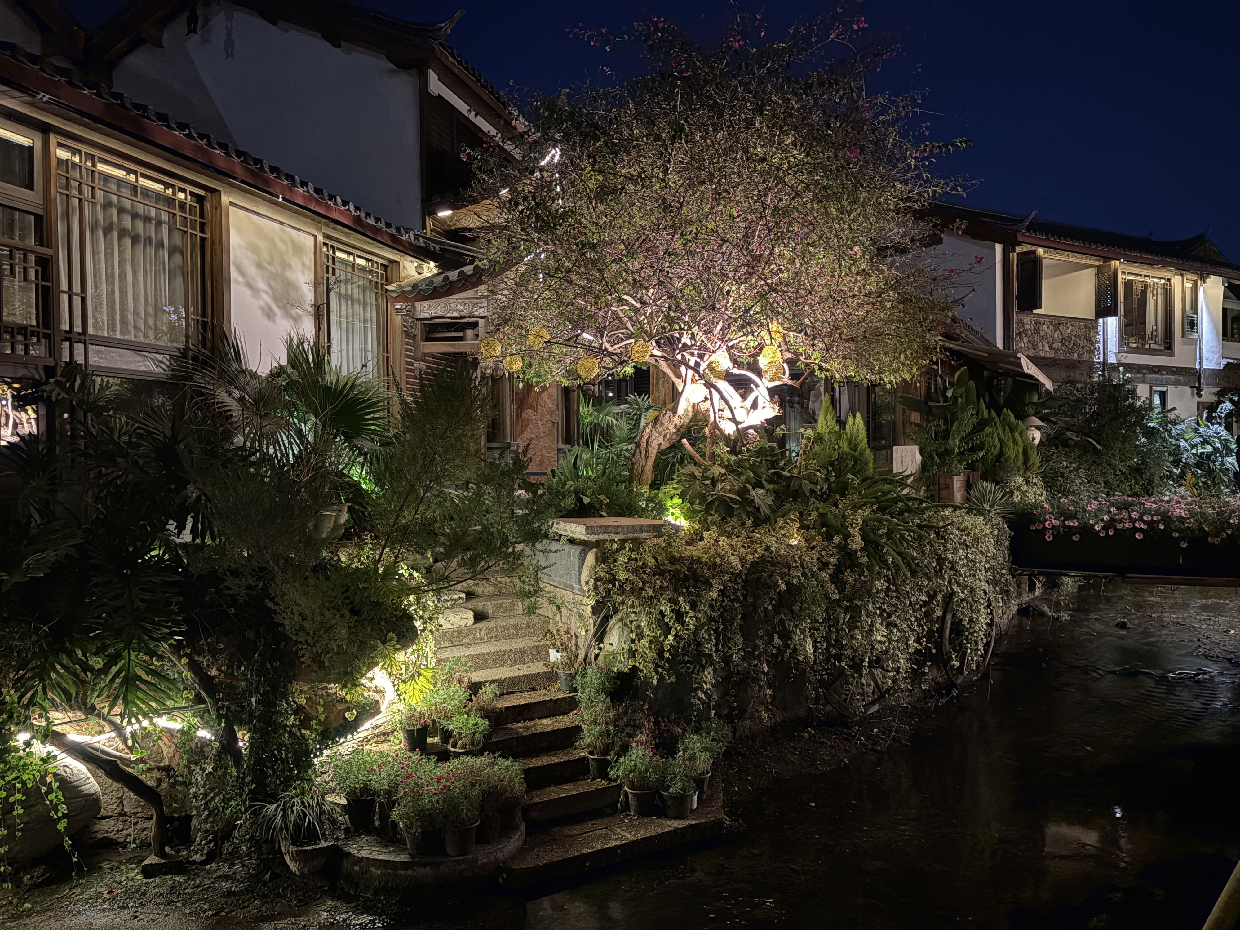 Picture China Lijiang 2026-01 437 - Tours Lijiang