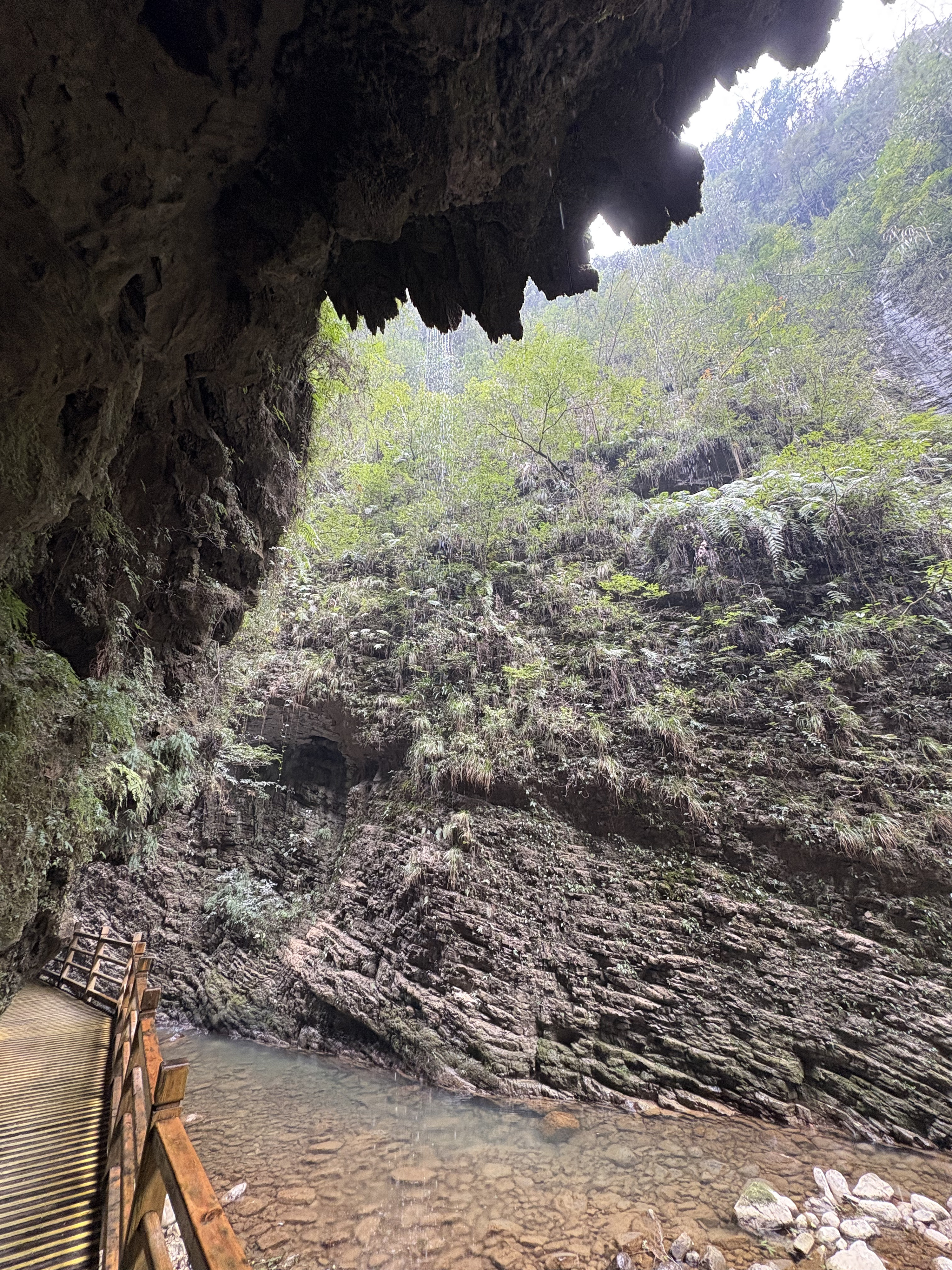Picture China Zhangjiajie Grand Canion 2026-01 76 - Tours Grand Canion