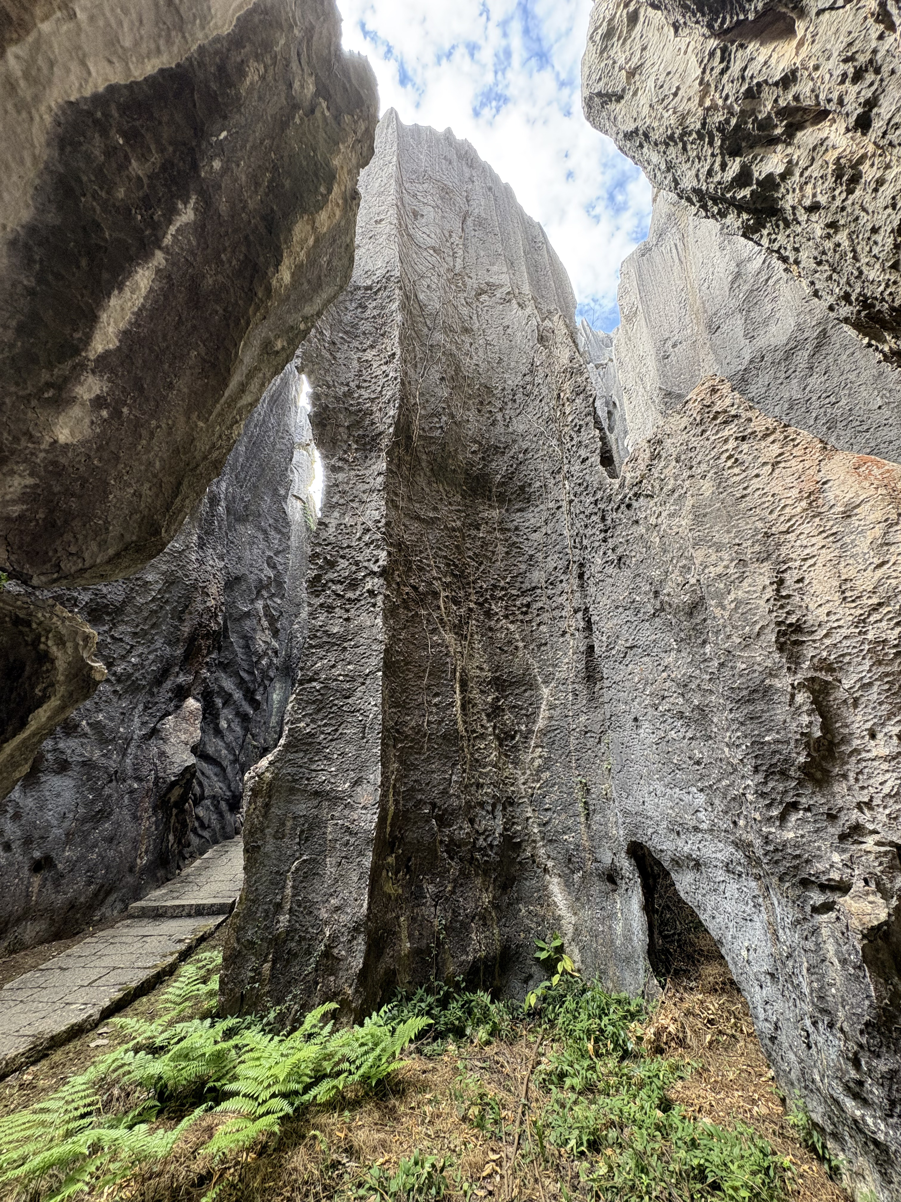 Picture China Shilin Stone Forest 2026-01 18 - Around Shilin Stone Forest