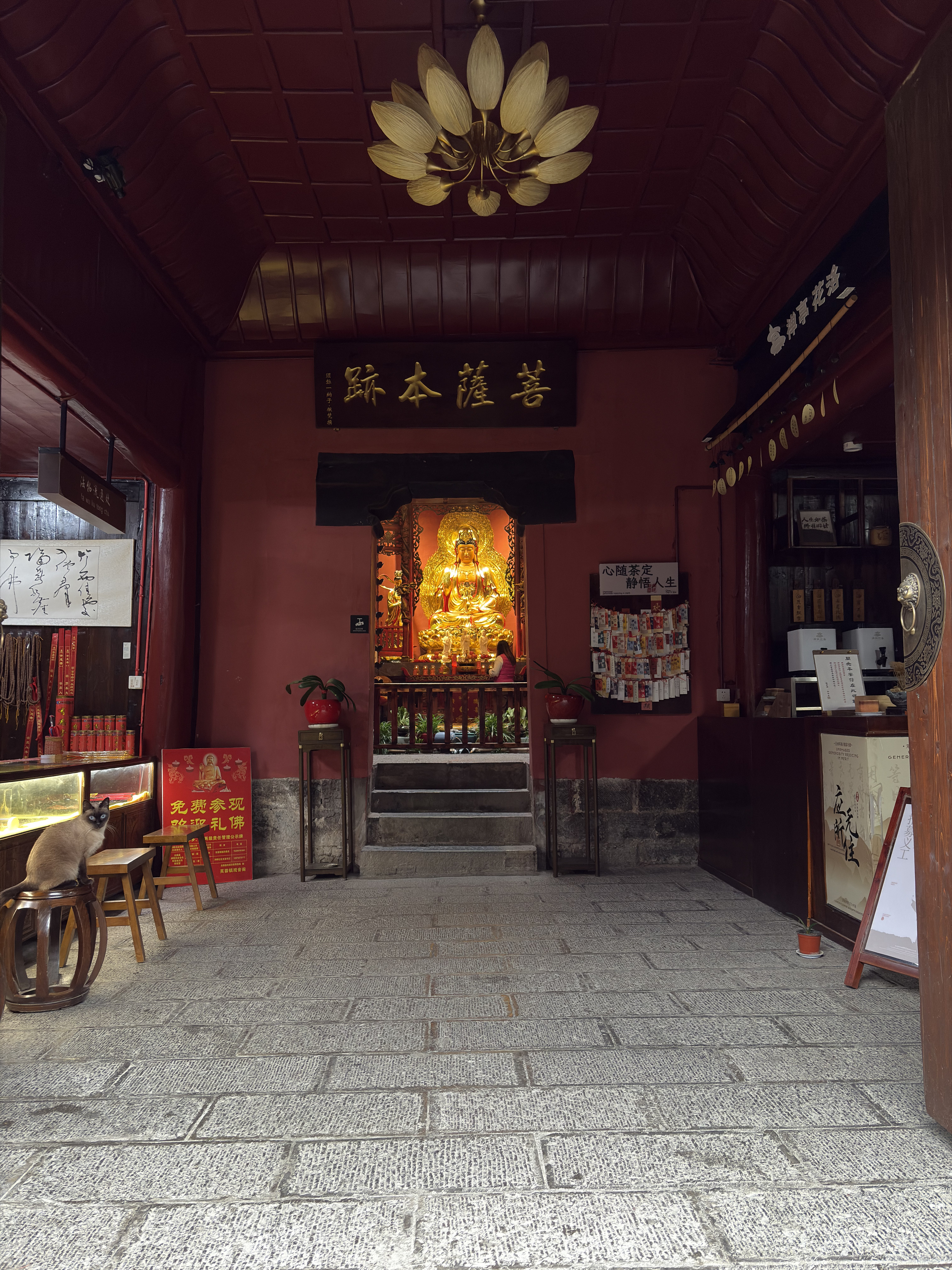 Picture China Furong Ancient Town 2026-01 18 - Tour Furong Ancient Town