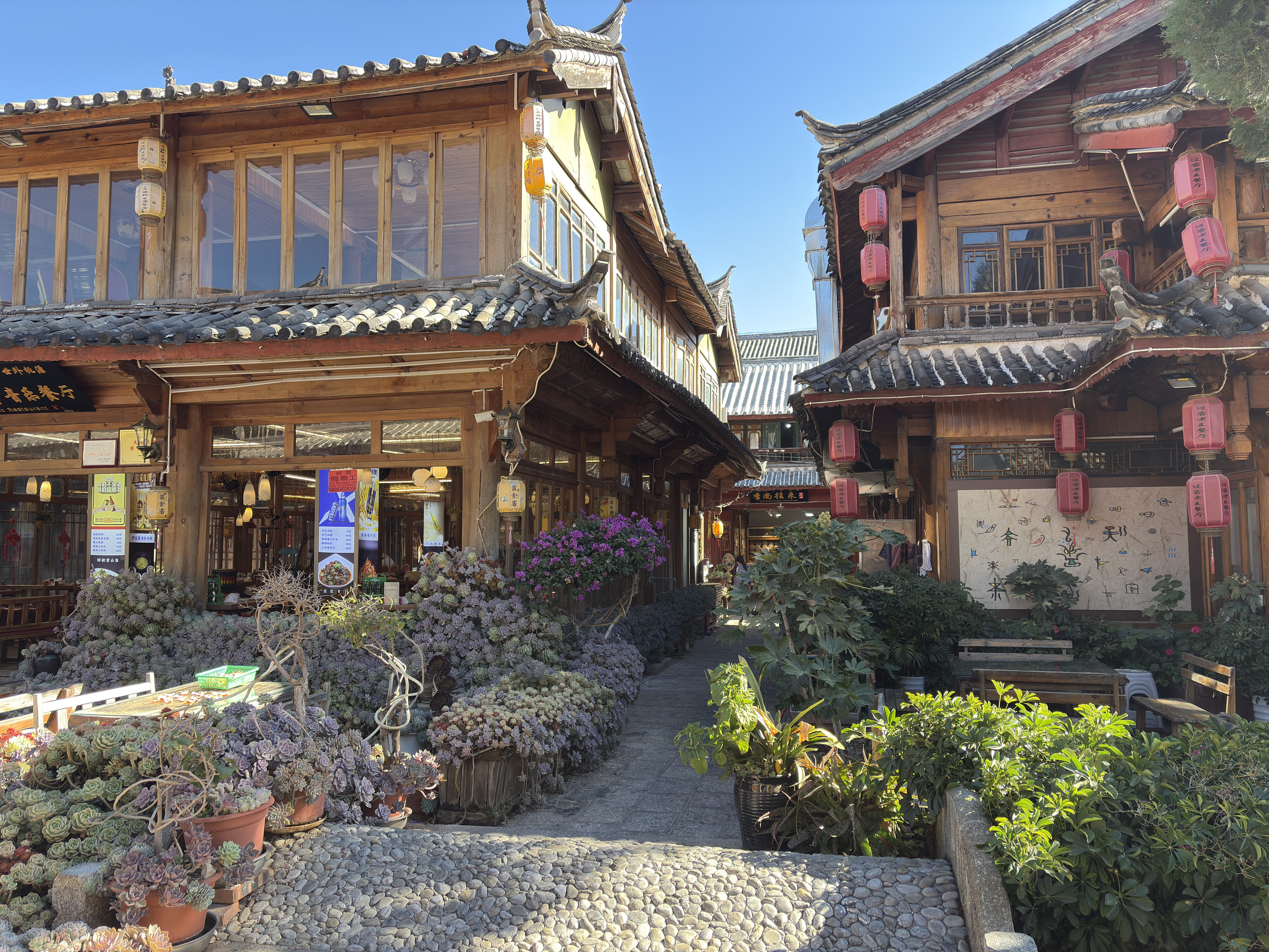 Picture China Lijiang 2026-01 52 - Tours Lijiang