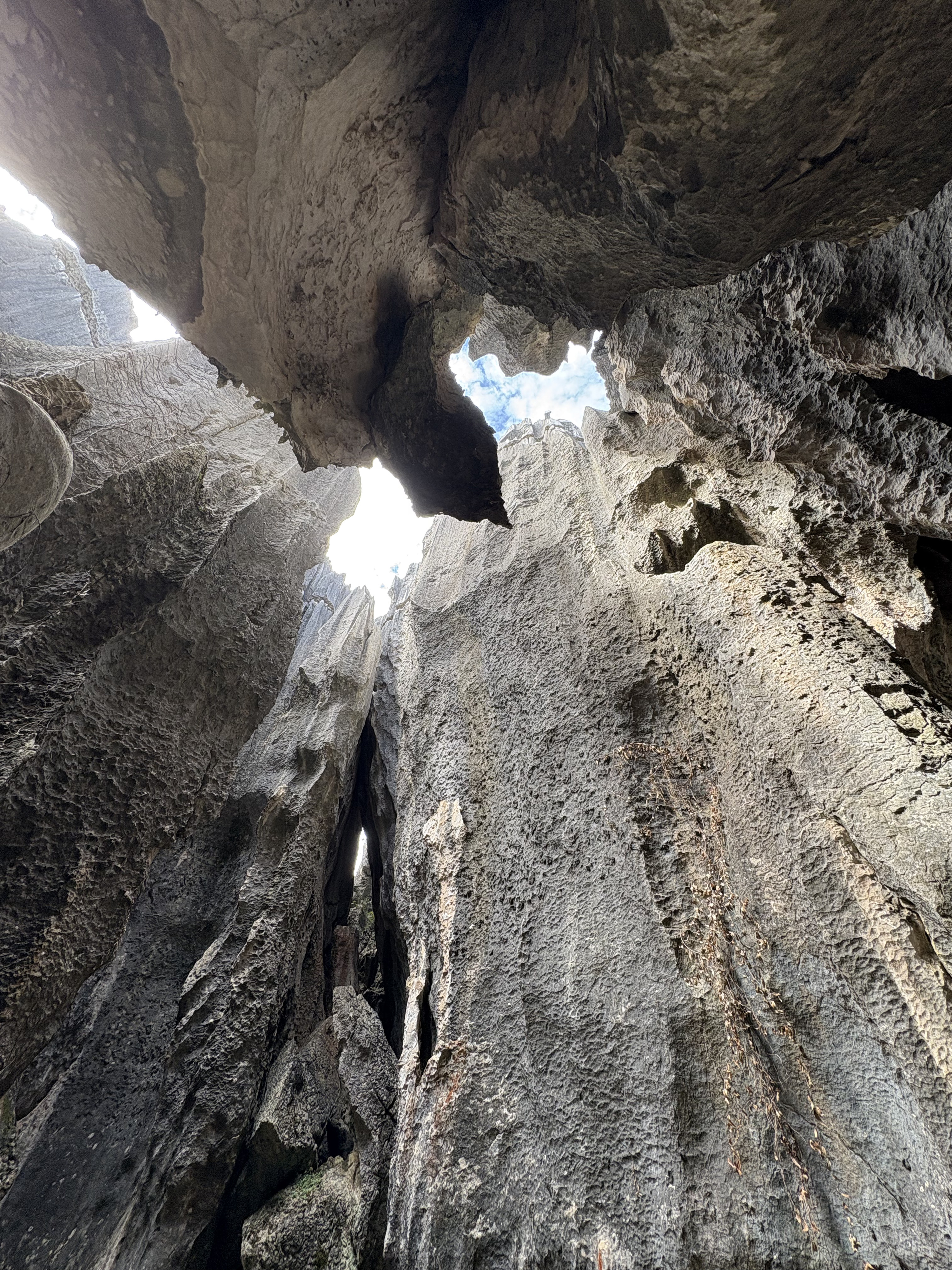Picture China Shilin Stone Forest 2026-01 73 - Journey Shilin Stone Forest