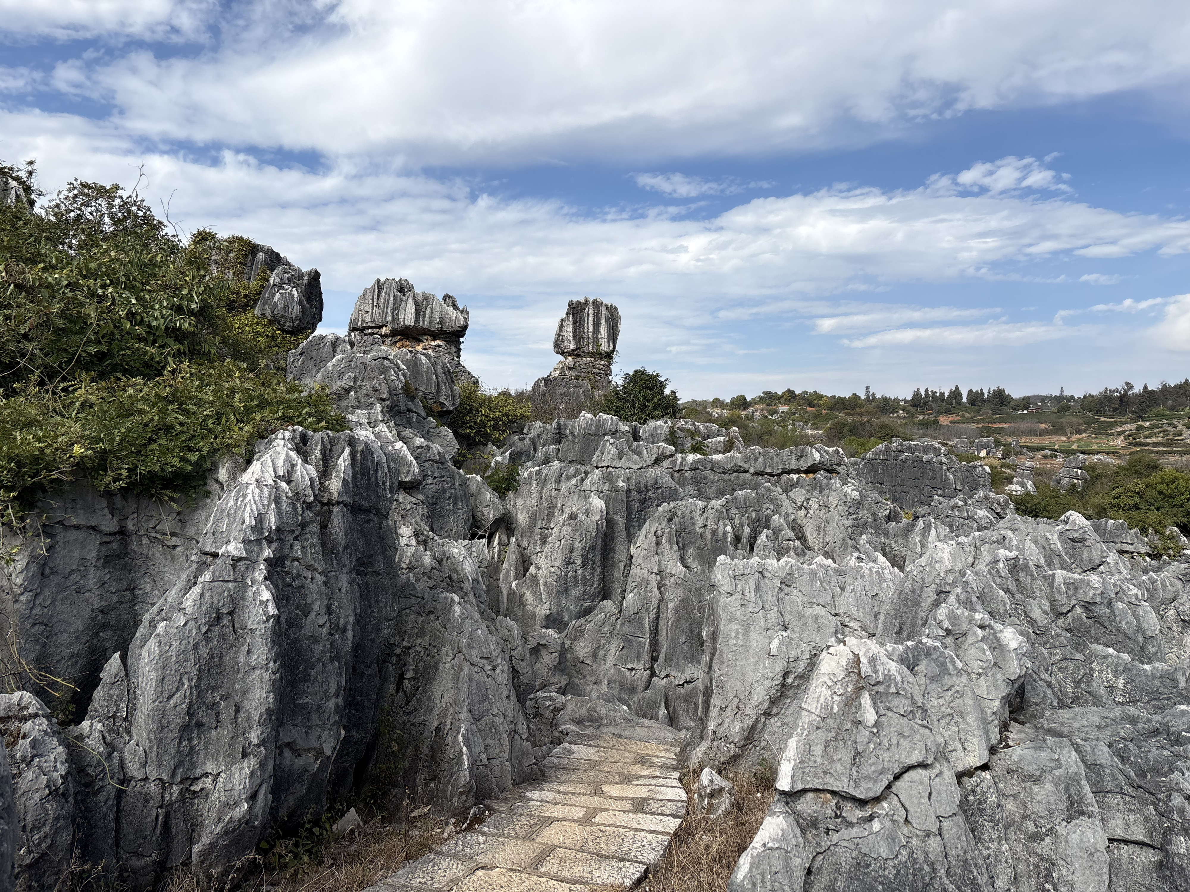 Picture China Shilin Stone Forest 2026-01 212 - History Shilin Stone Forest