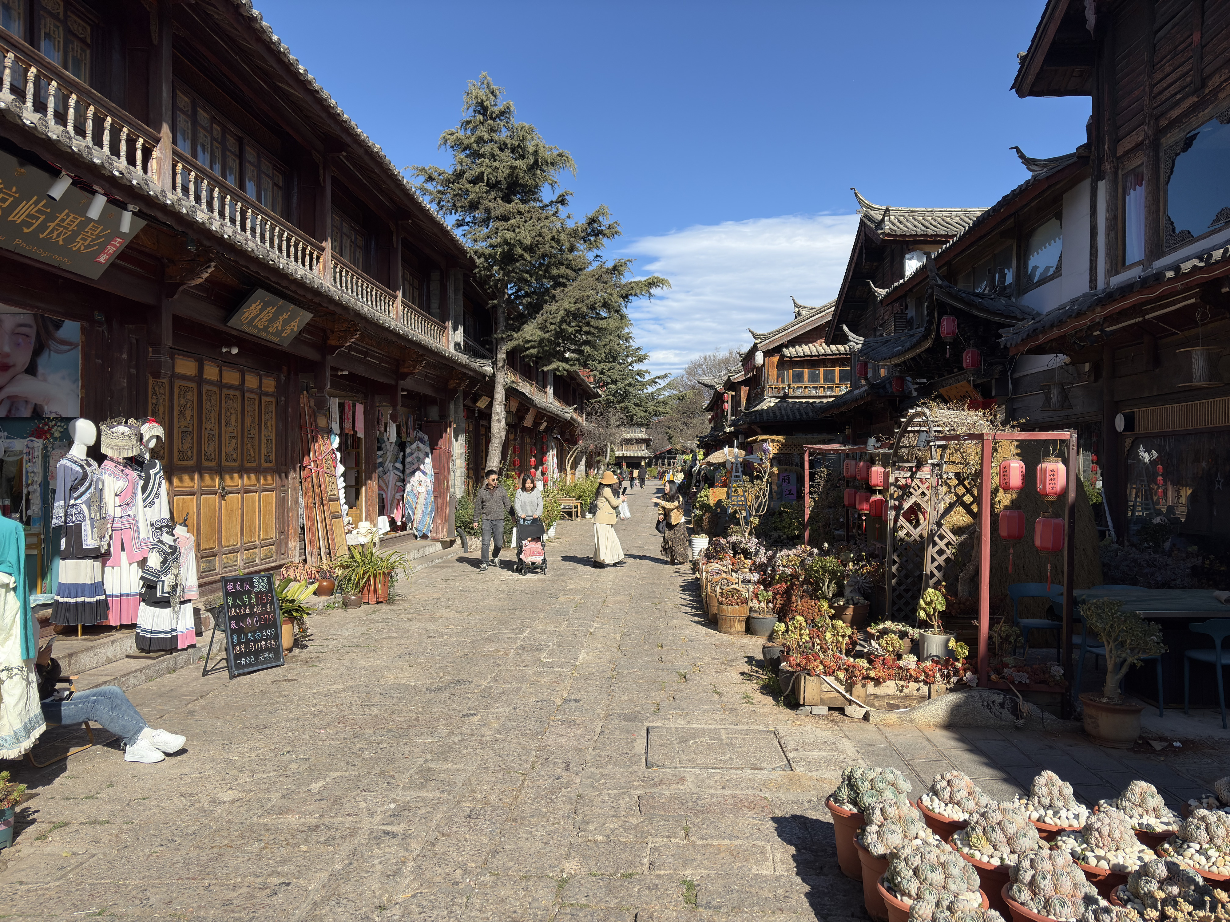 Picture China Lijiang 2026-01 166 - Discovery Lijiang