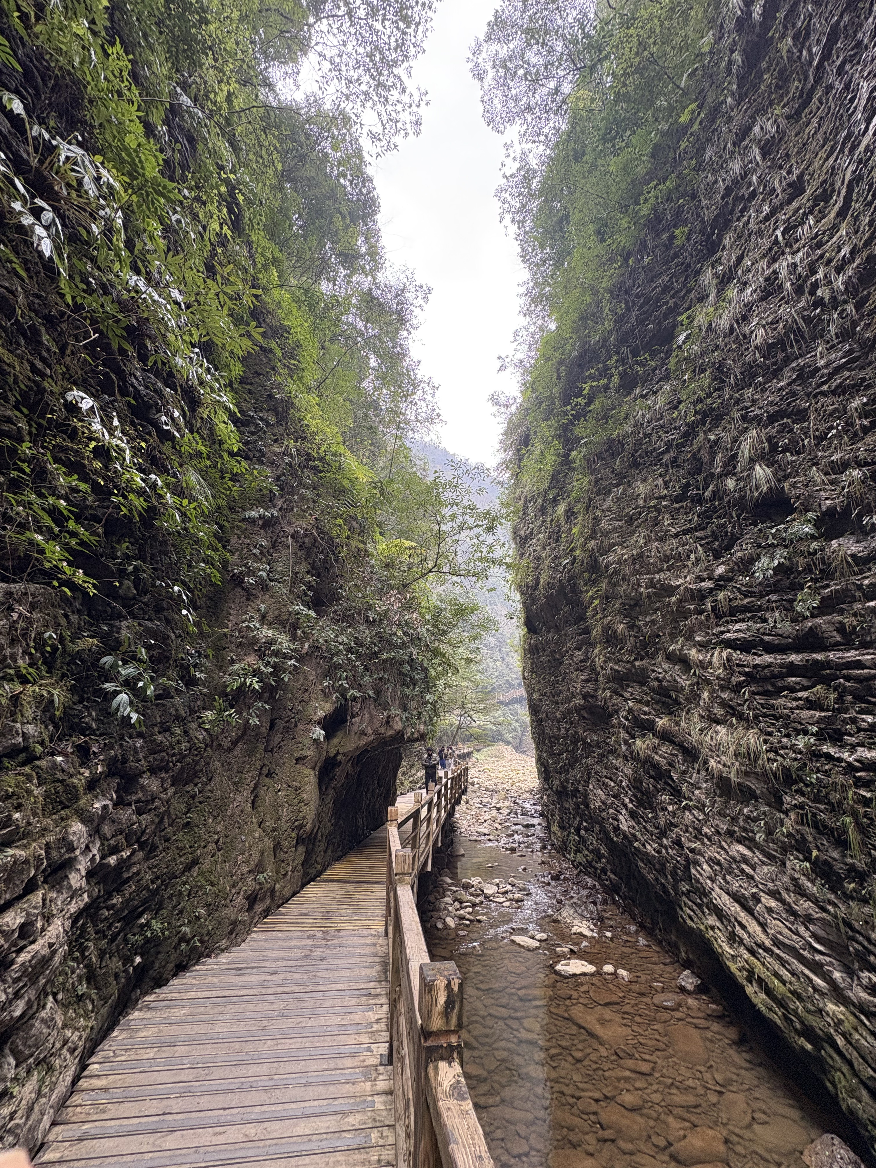 Picture China Zhangjiajie Grand Canion 2026-01 21 - Discovery Grand Canion