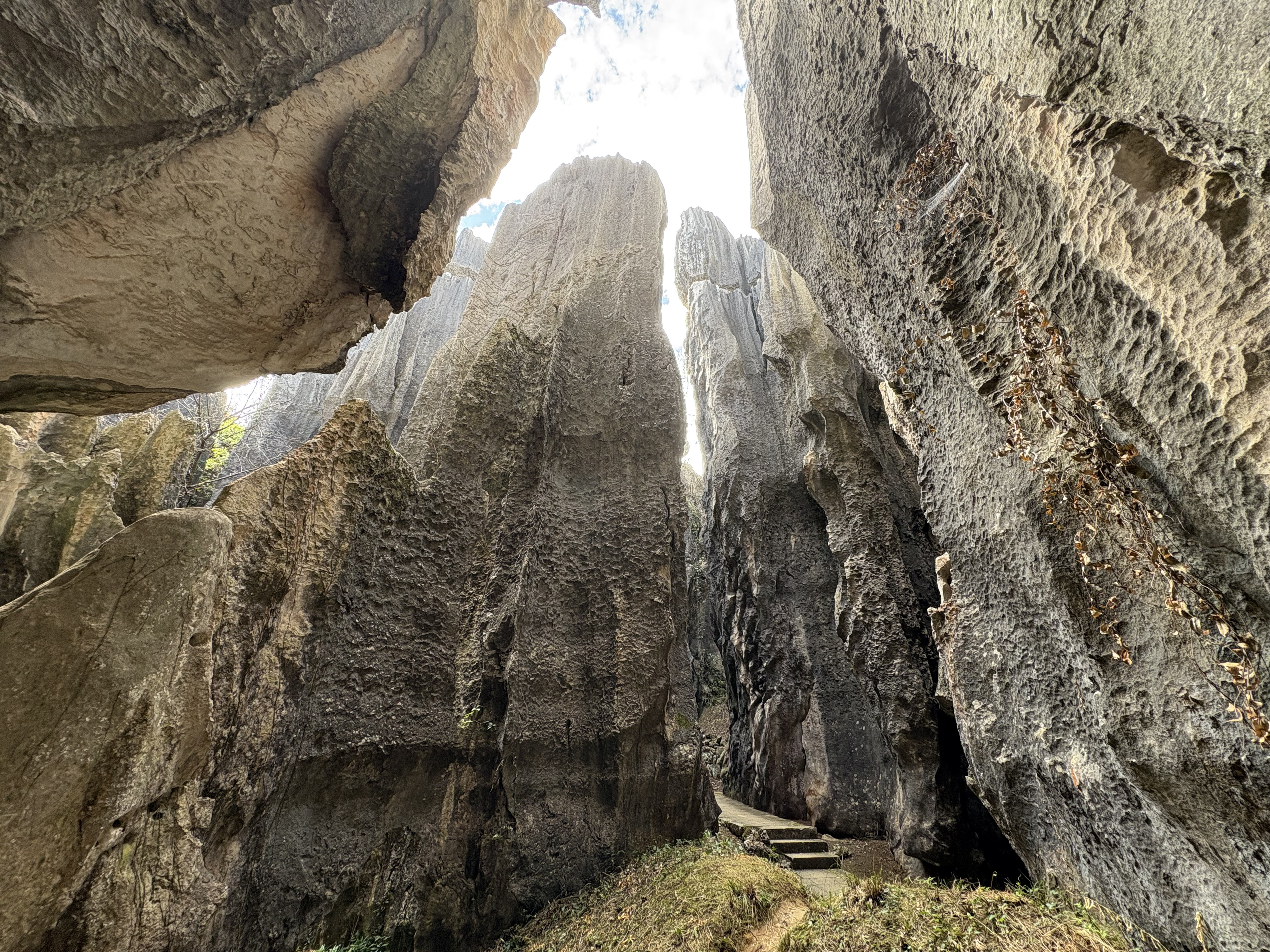 Picture China Shilin Stone Forest 2026-01 333 - Around Shilin Stone Forest