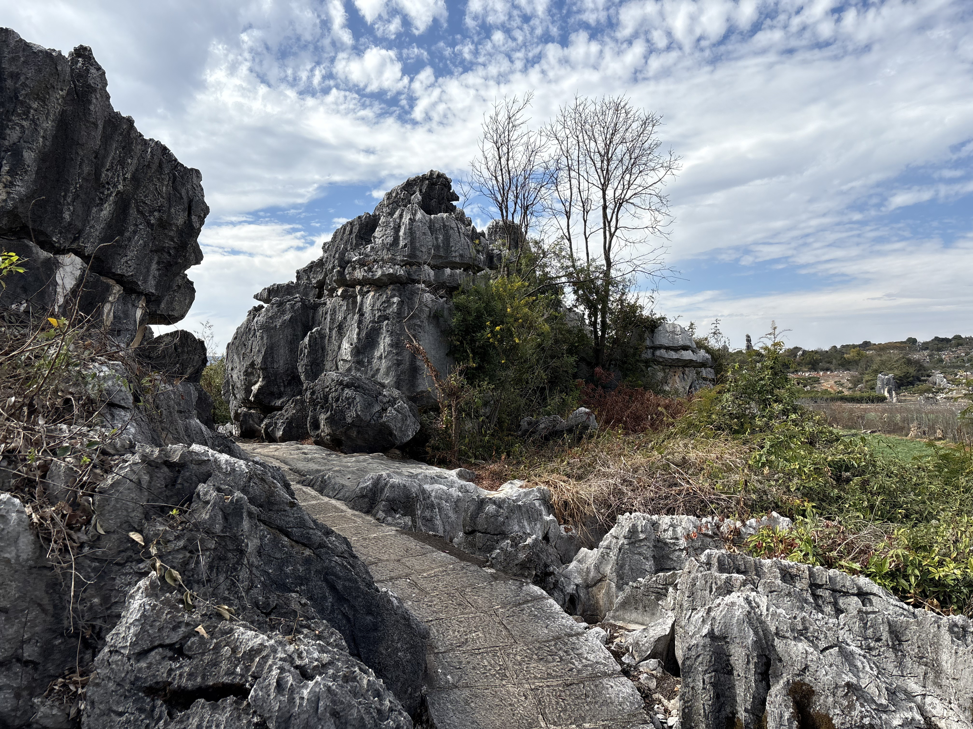 Picture China Shilin Stone Forest 2026-01 393 - Tours Shilin Stone Forest