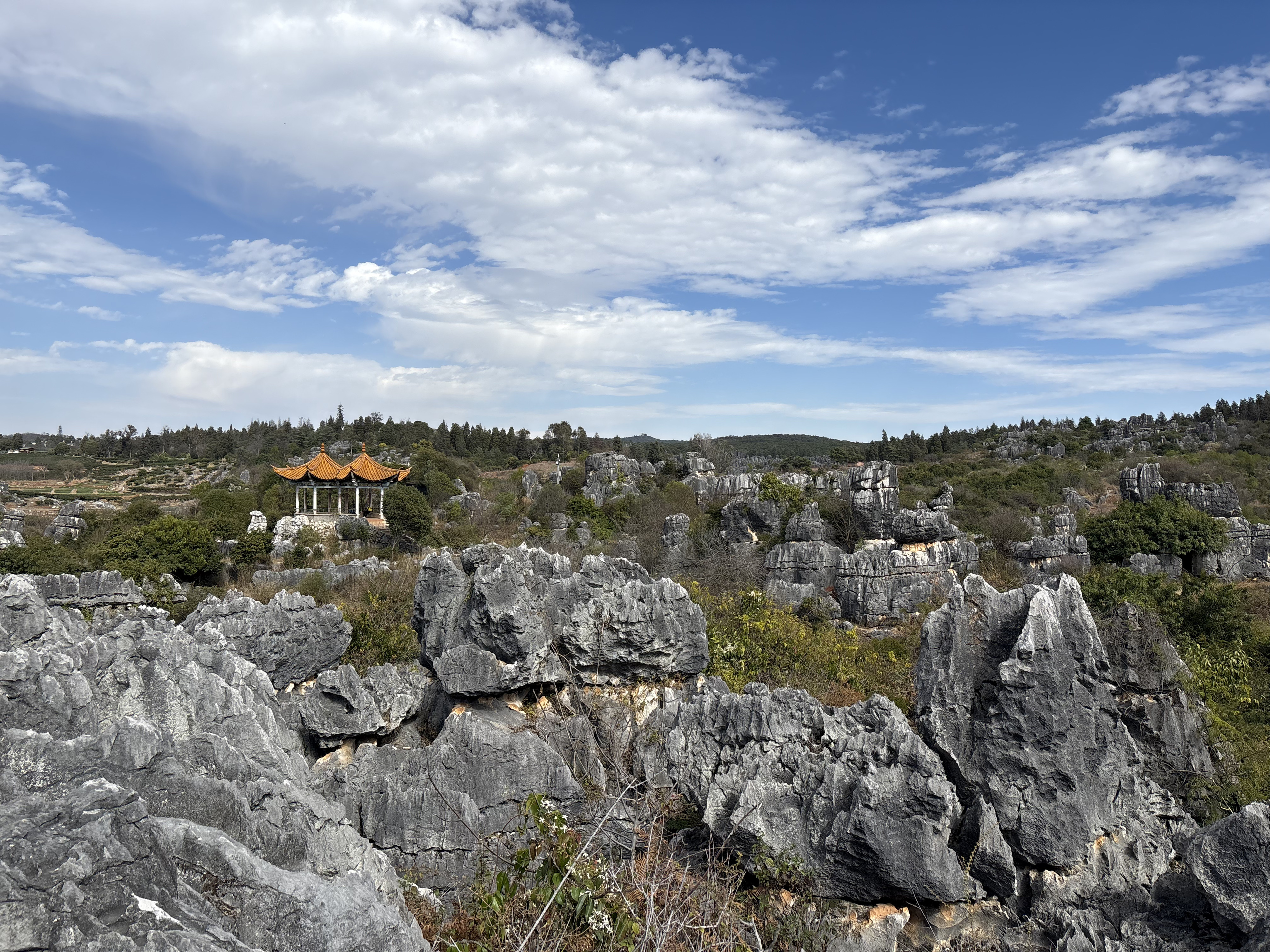 Picture China Shilin Stone Forest 2026-01 285 - Discovery Shilin Stone Forest