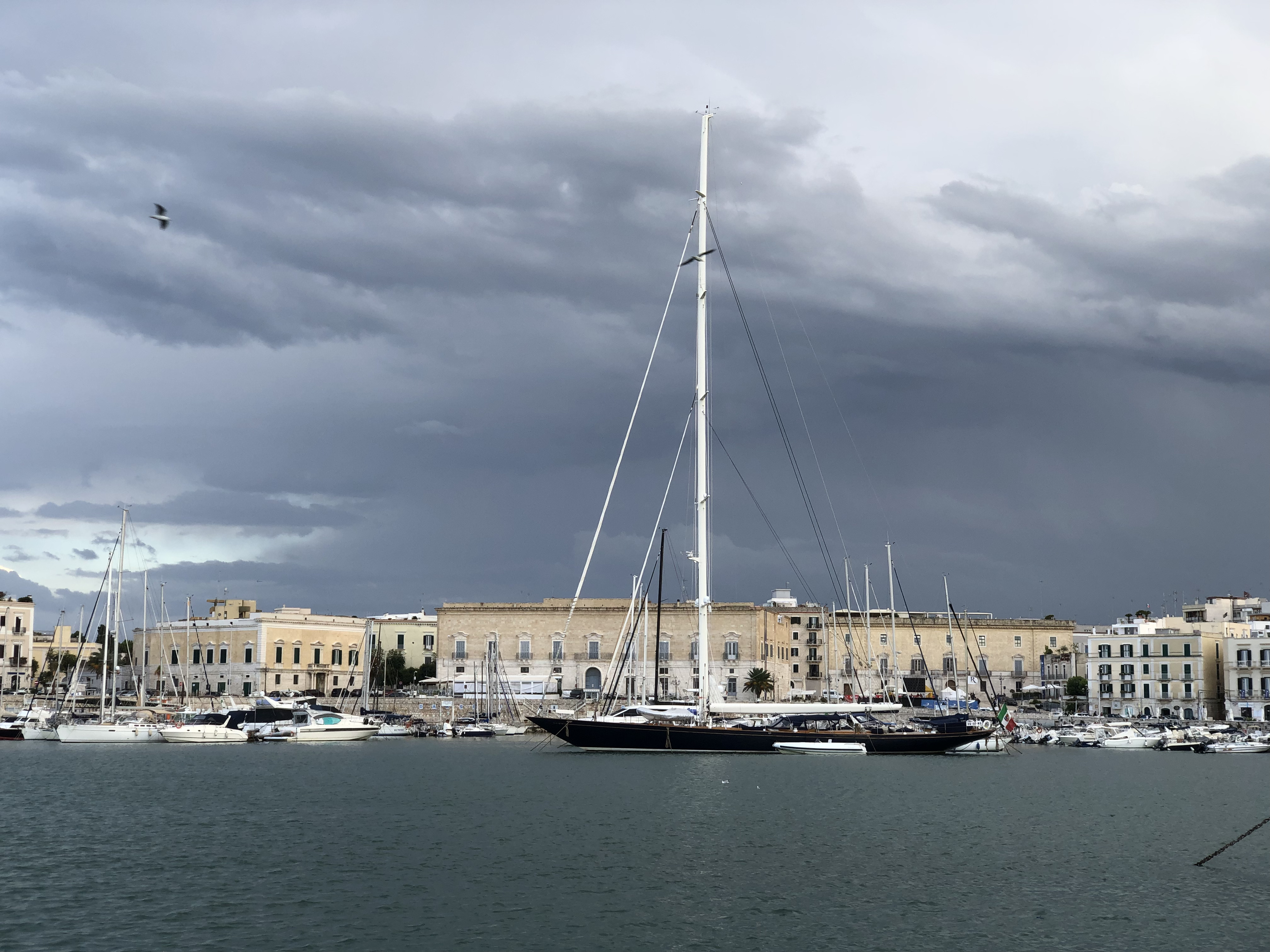 Picture Italy Trani 2024-09 122 - Tour Trani