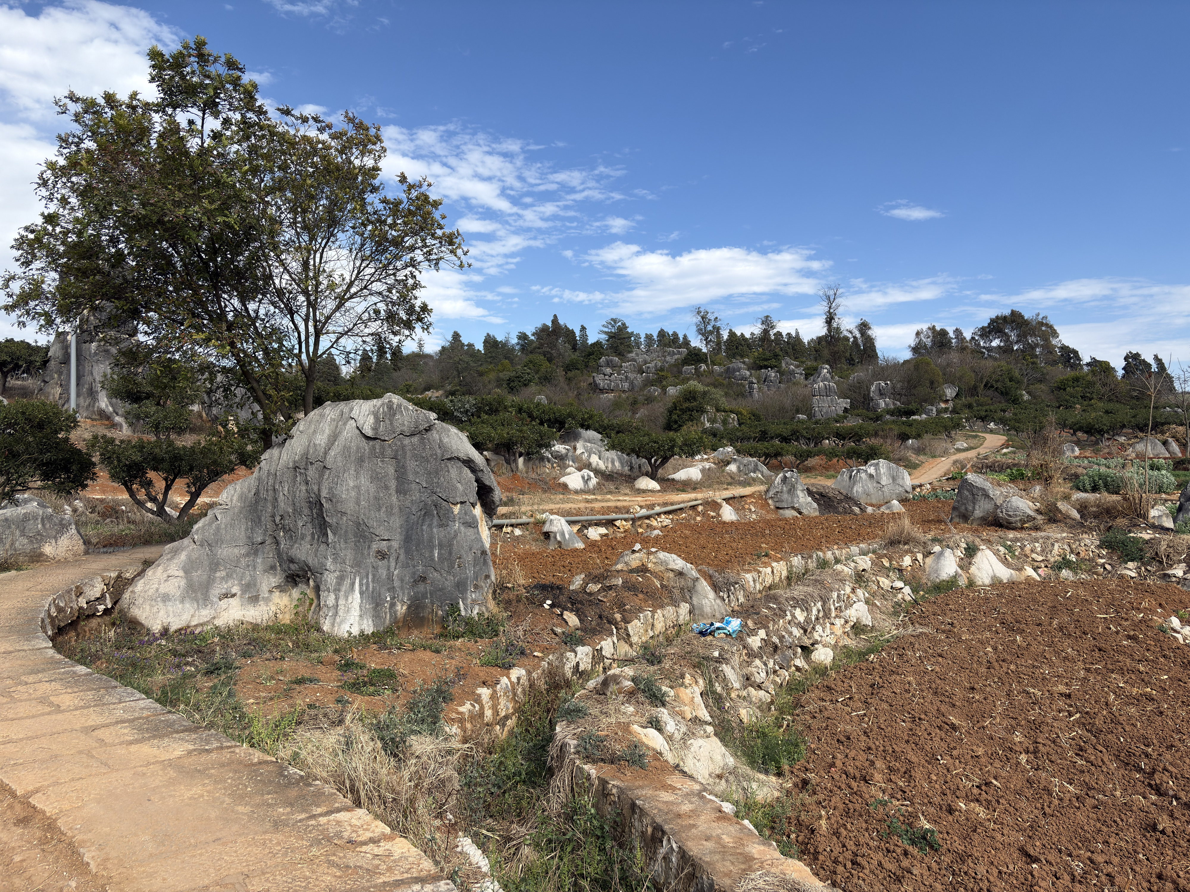 Picture China Shilin Stone Forest 2026-01 201 - Discovery Shilin Stone Forest