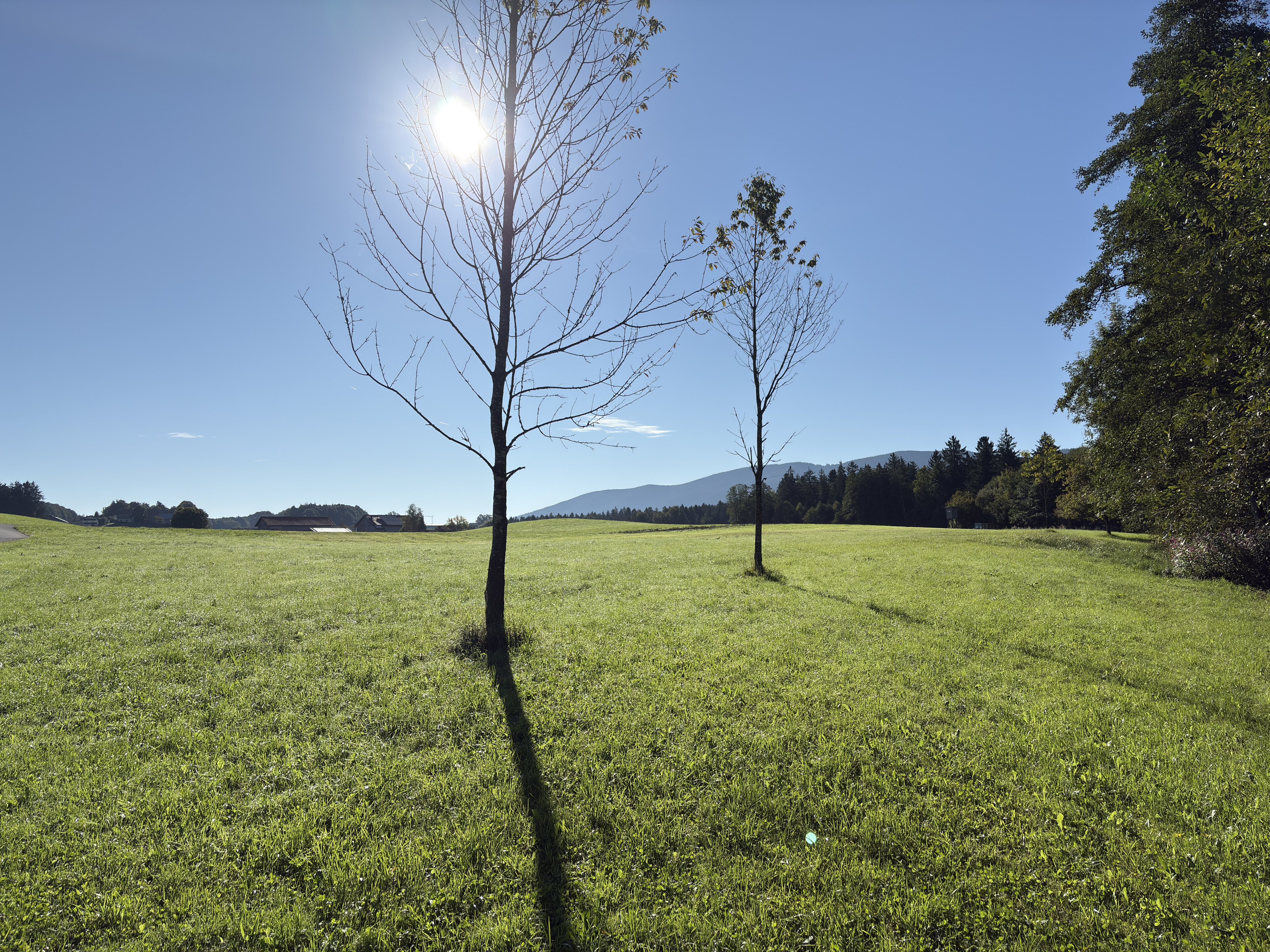 Picture Germany Surberg 2025-09 9 - Discovery Surberg