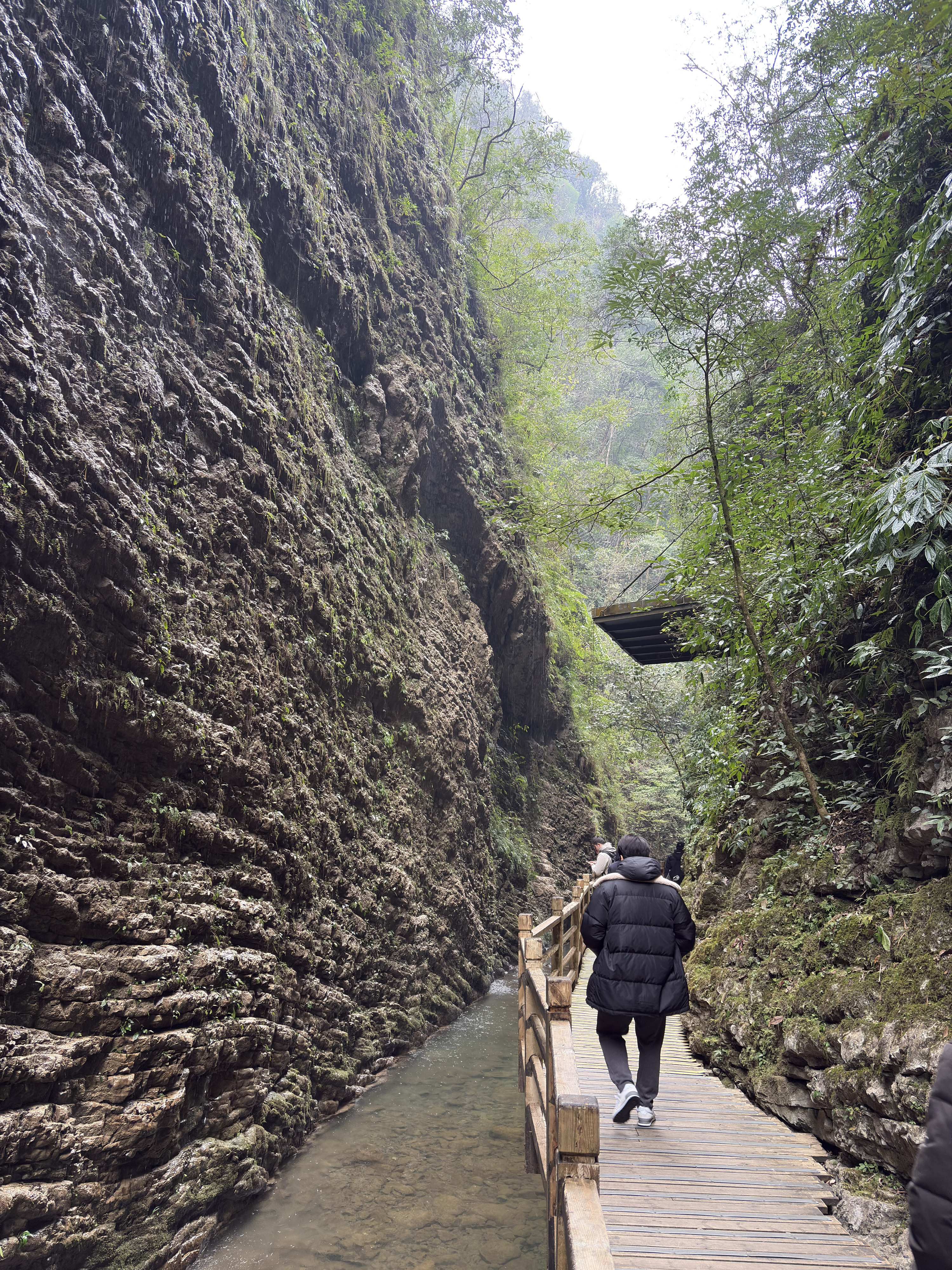 Picture China Zhangjiajie Grand Canion 2026-01 43 - Journey Grand Canion