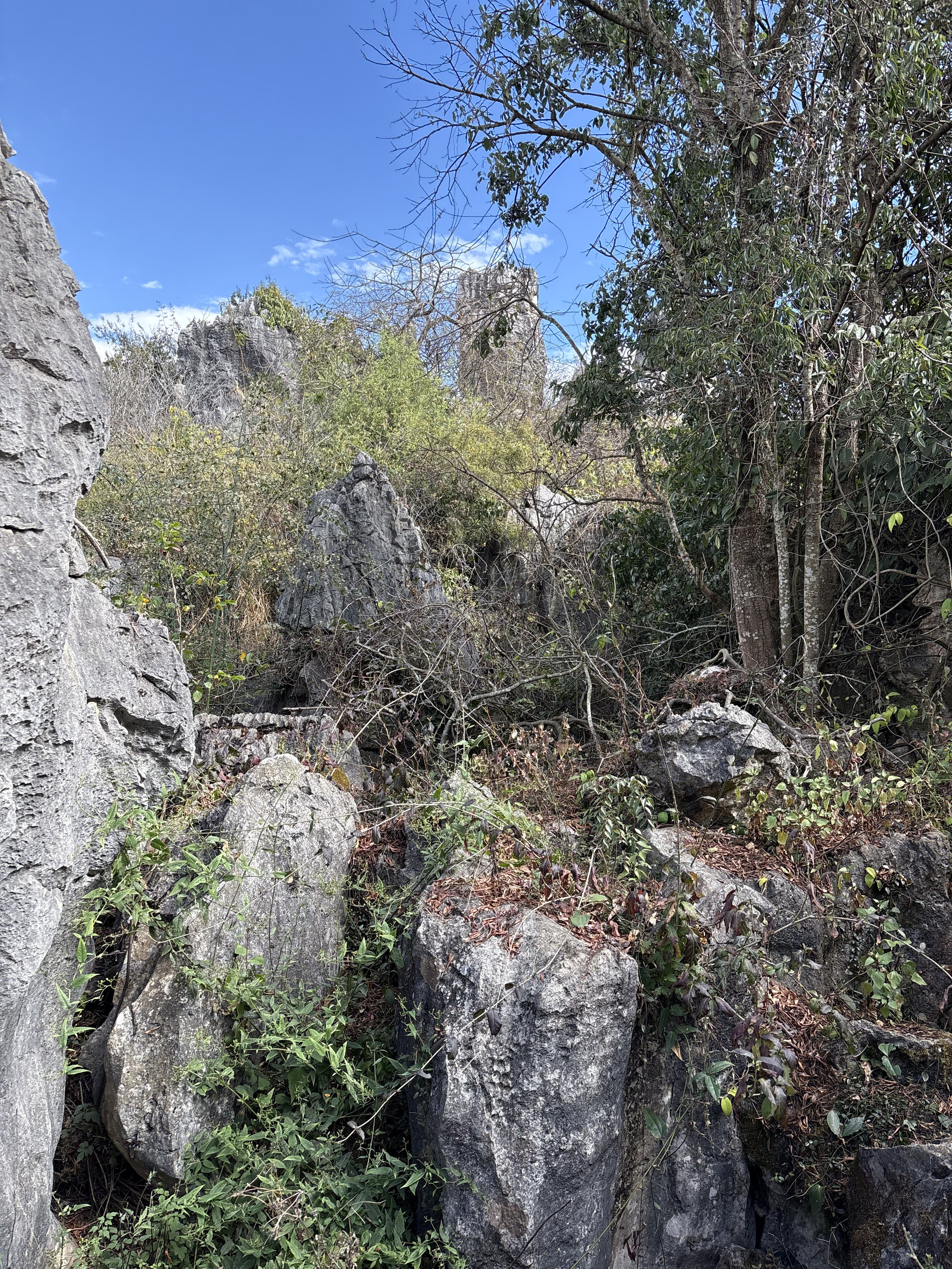 Picture China Shilin Stone Forest 2026-01 164 - Tours Shilin Stone Forest