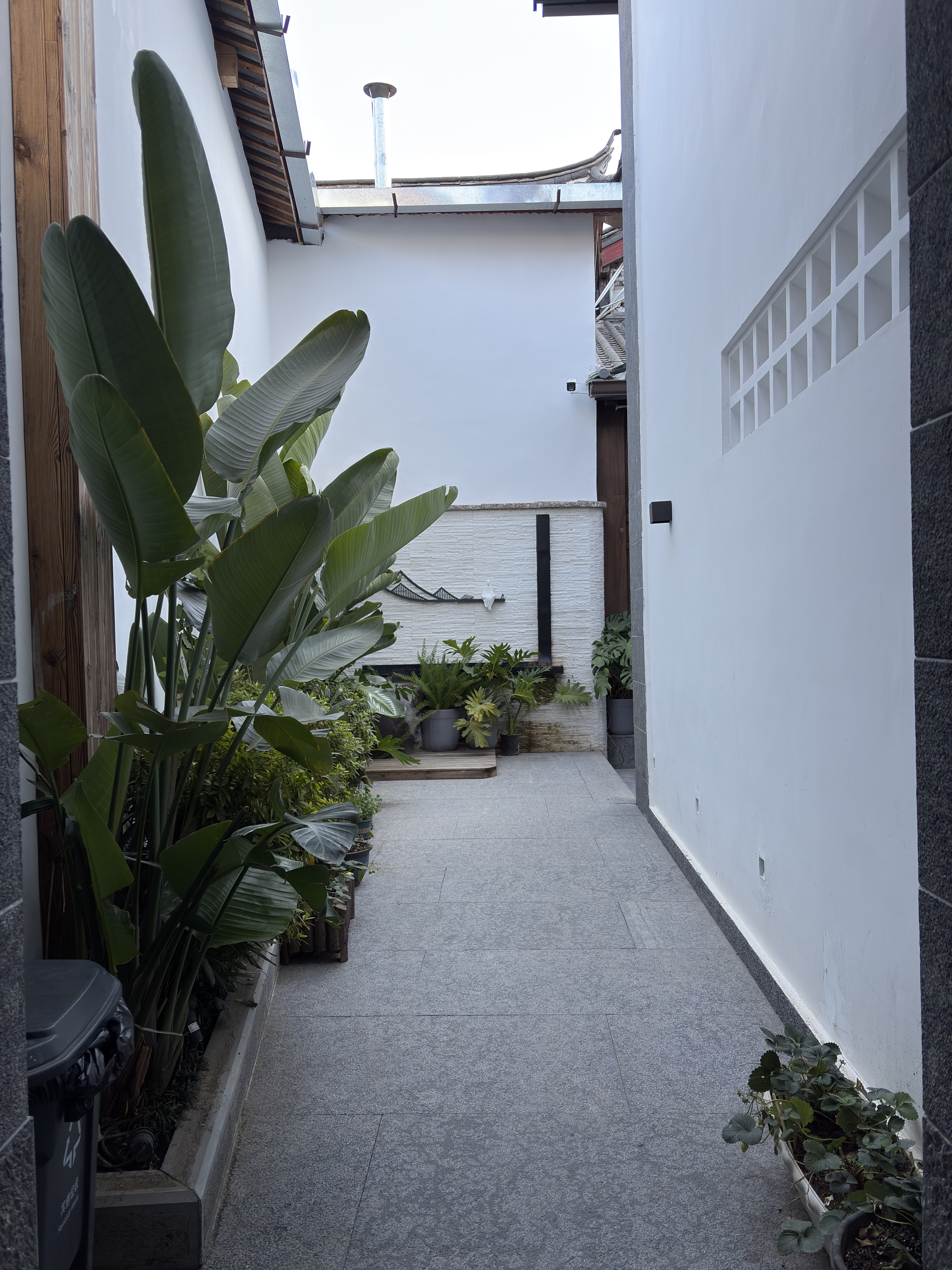 Picture China Lijiang 2026-01 558 - History Lijiang