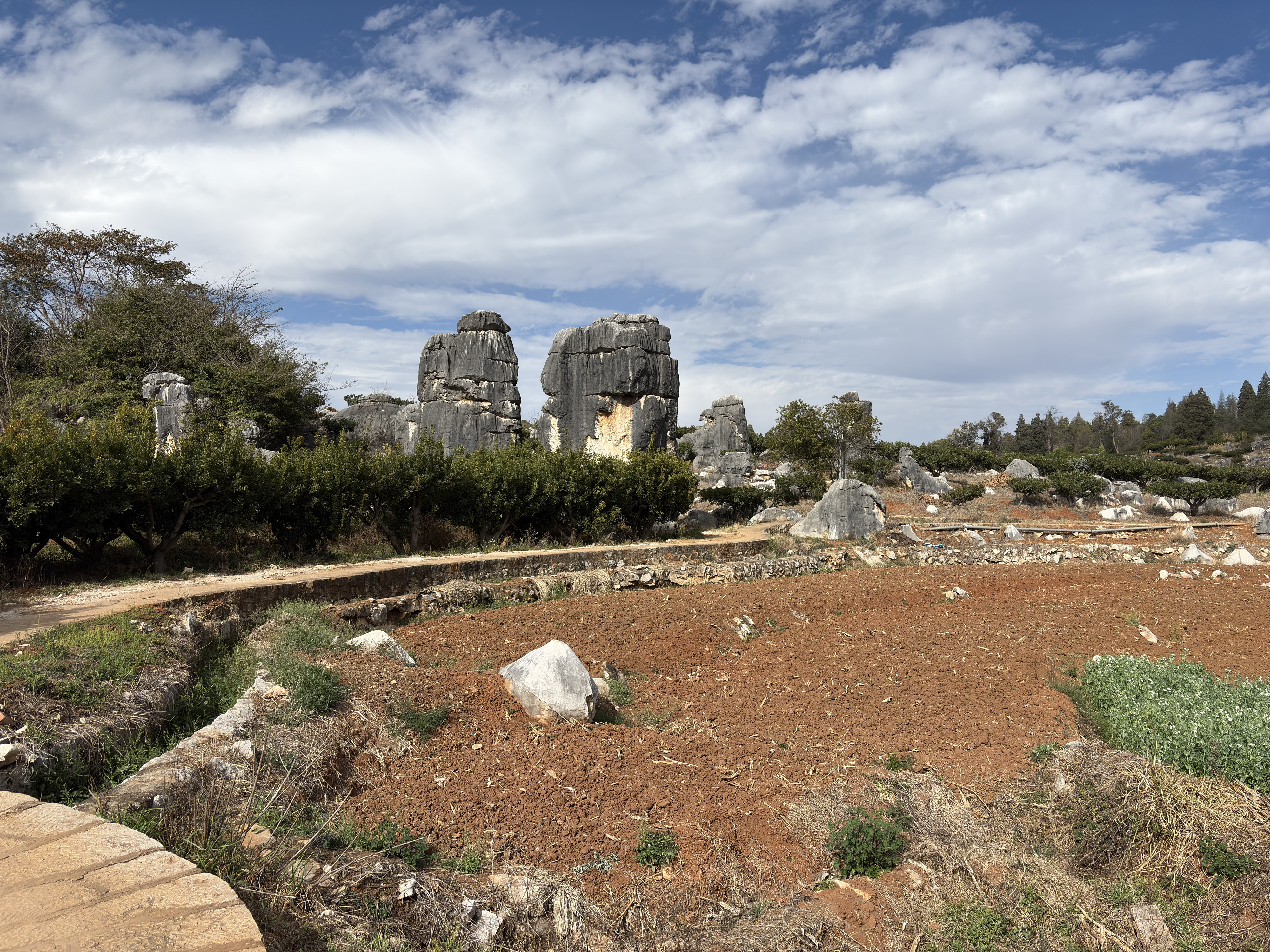 Picture China Shilin Stone Forest 2026-01 110 - Center Shilin Stone Forest